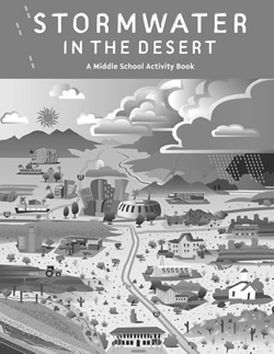 Stormwater in the Desert - Grayscale